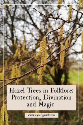  The Hazel Tree: A Magical Tale of Transformation and Unexpected Consequences!